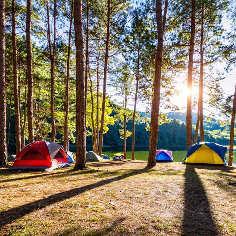 Kanpalekuko elementuak